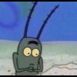 Meet your Posher, Ayanna